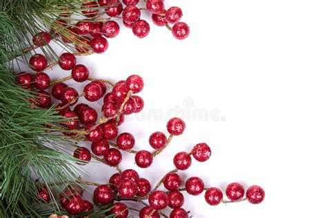 Pine Branches With Christmas Berries Stock Image Image Of Ornate