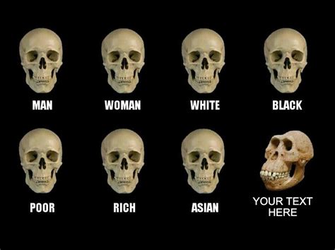 Skull Comparison Meme Maker