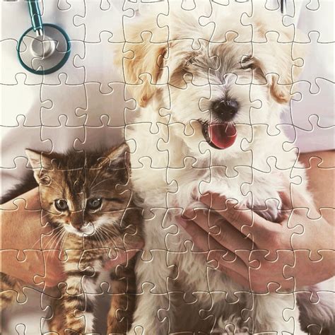 Watch The New Puzzle For Todaylittle Dog And Cat Get It For Free On