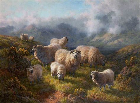 Highland Sheep Painting Robert Watson Oil Paintings