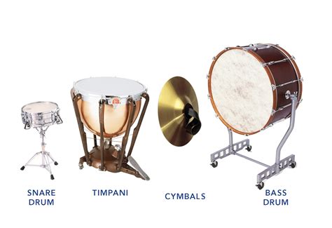 San Francisco Symphony Instrument Of The Month Snare Drum