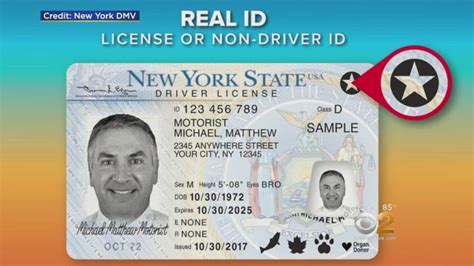 Real Id And Long Lines At The Dmv Yonkers Times