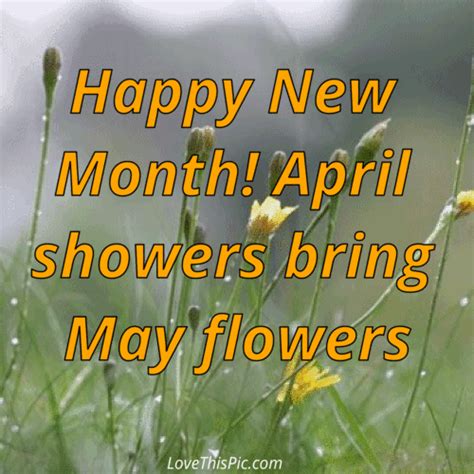 Happy April Month Quotes Shortquotescc
