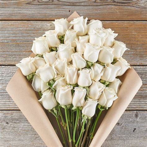 Hollywoodland In 2021 White Roses Rose Bouquet Best Roses