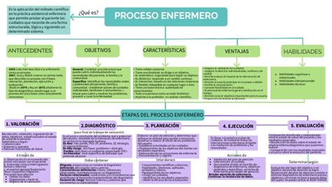 Mapa Mental 1ra Etapa Del Proceso Enfermero By Cecilia Mendoza Aguilar