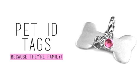 For the sports fanatics, you can shop officially licensed mlb, nba, nfl, ncaa and to browse the complete collection of unique id tags, head to petco. Pet ID Tags: Durable ID Tags for Your Dog Or Cat - SJ ...