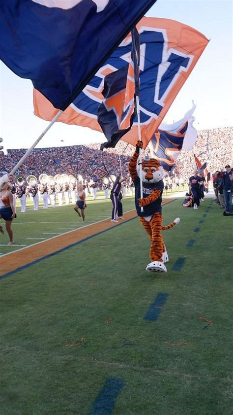 A Look At Aubie The Tigers Favorite Photos And Moments From 2016