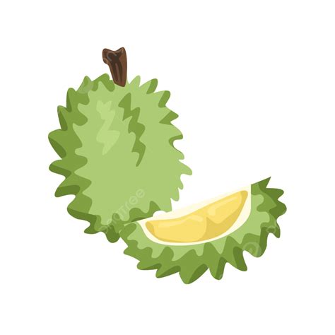Cartoon Hand Drawn Fruit Durian Vector Pulp Original Pulp Fruit Png