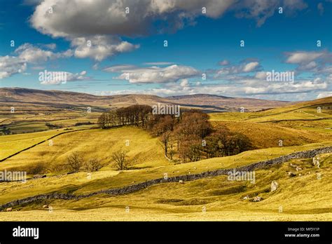 Typical Yorkshire Dales Scenery With Rolling Hills And Farmland Stock