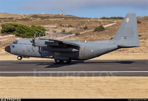 16805 Lockheed C 130h Hercules Portugal Air Force Alex Maio