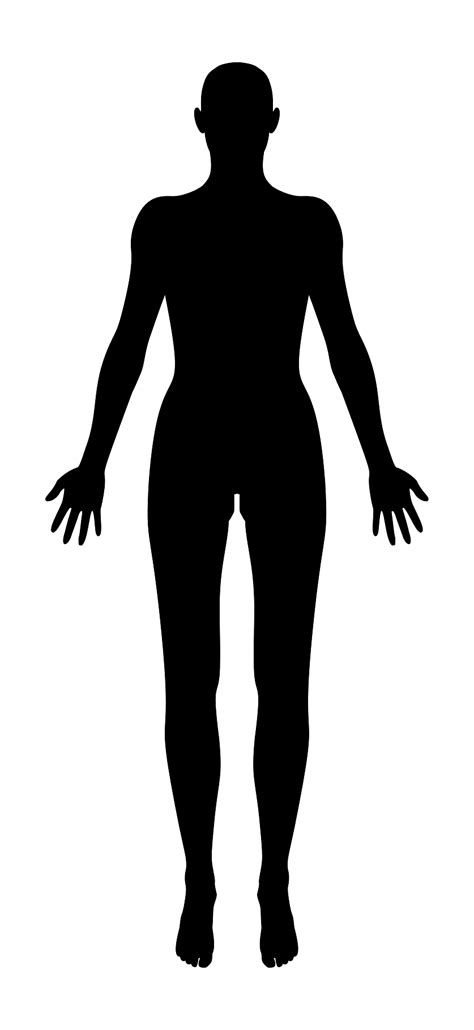 Silhouette Of A Female Body Transparent Png Stickpng