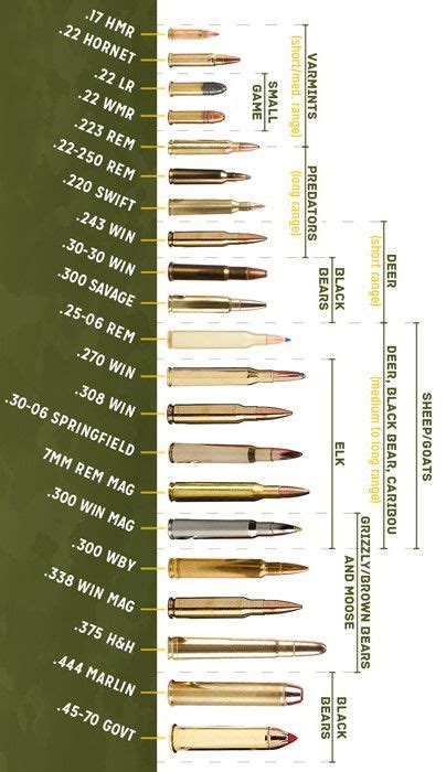 Rifle Calibers In Order Of Power Chart Ridelef