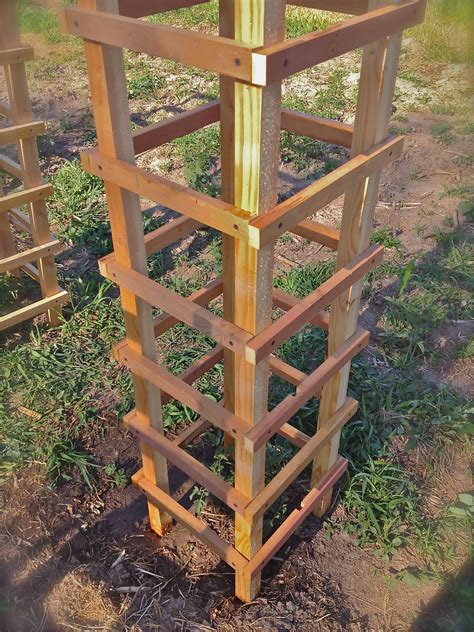 Gardening Tips ~ Diy Tomato Cages Her View From Home Tomato Cages
