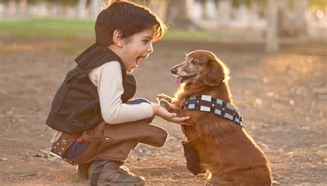 NiÑos Y Mascotas Animales Cuidados De Las Mascotas