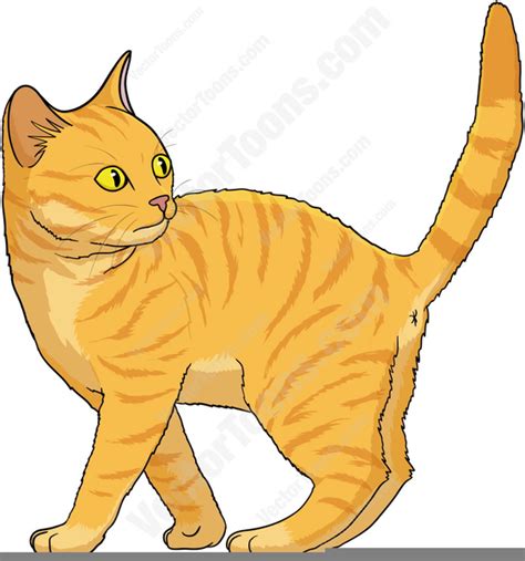 Free Clipart Tabby Cat Free Images At Vector Clip Art