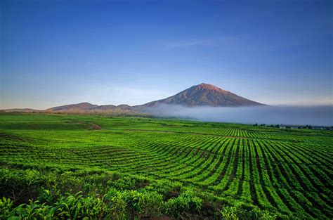 6 Taman Nasional Di Indonesia Sebagai Situs Warisan Dunia Unesco