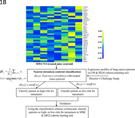 Persistent coughing may be a symptom of lung cancer. The risk assessment scheme of lung cancer progression in ...