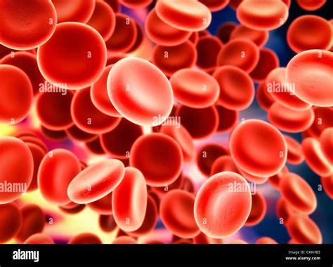 Blood Cells Scanning Electron Microscopy Stylized Illustration Stock