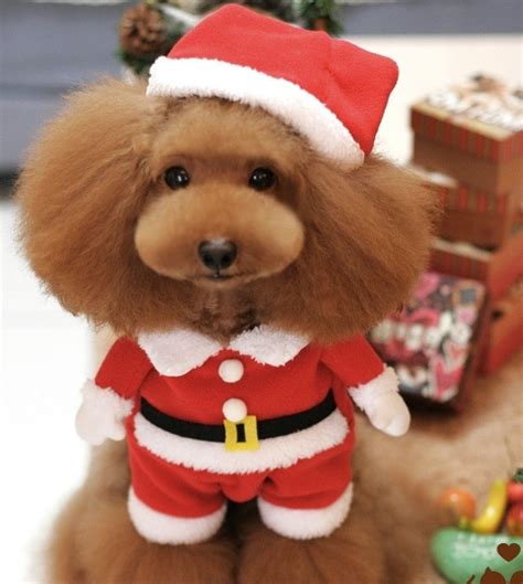 Santa Claus Christmas Pet Dog Costume With Hat Christmas Dog Costume