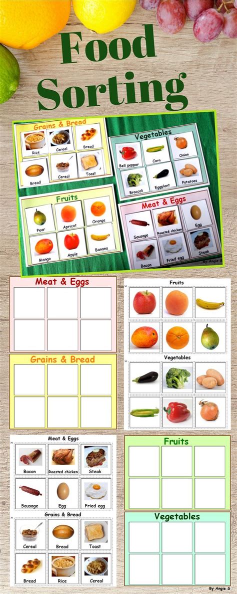 Food Groups Sort Activity For Special Education Category Sorting