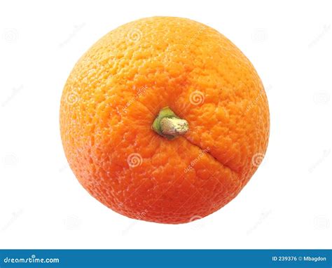 Orange Stock Photo Image Of Color Fruit Round Juicy 239376