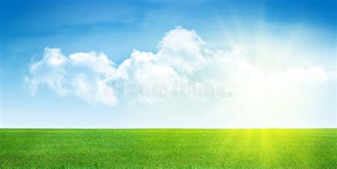Green Grass Field And Clear Blue Sky Stock Photo Image Of Beauty