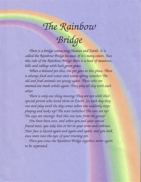 Just over the rainbow bridge is designed for pet loss healing, supporting those who are grieving the loss of their beloved pets like dogs and cats. Rainbow Bridge - German Shepherd Rescue Elite