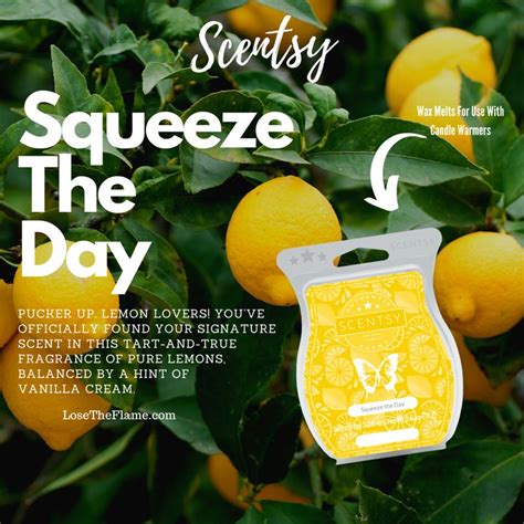 Scentsy Squeeze The Day Lemon Scent Scentsy Scentsy Bars Squeeze