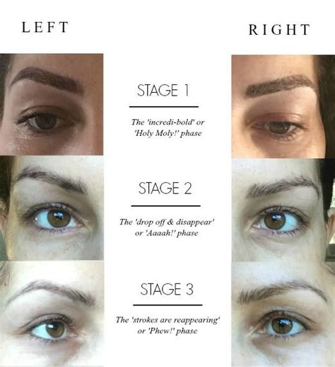 Stages Of Healing Feathered Brows Eyebrow Tattoo1 Feather Brows