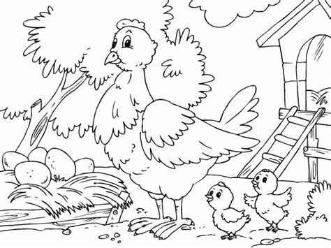 gallina y sus pollitos Colorear imágenes