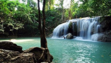 Waterfall In Khao Sok National Park Khao Sok Travel Thailand