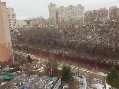 Jellyfishnews River Turns Blood Red In Russia In Pictures And Vid