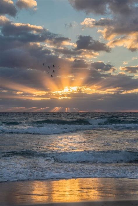𝓷 On Twitter Sunrise Photography Beach Sunrise Photography Sky
