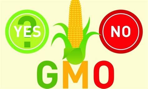 Although Some Gmo Sympathizers Embrace Mandatory Labeling Its A