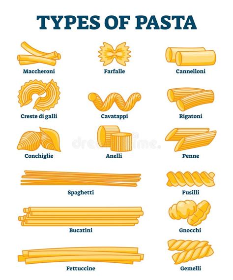 Types Of Pasta Vector Illustration Labeled Italian Cuisine Shapes