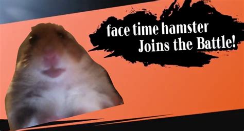 Facetime Hamster Meme