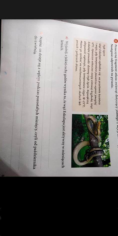 Przeczytaj Fragment Atlasu Zwierząt Dotyczący Jednego Z Węży - Przeczytaj fragment atlasu zwierząt dotyczący jednego z węży, które