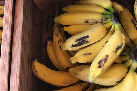 Apple Bananas Will Change The Way You Think About Bananas Myrecipes