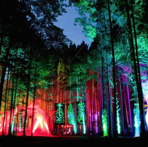 20140628 Electric Forest Festival Rothbury Mi Sts9