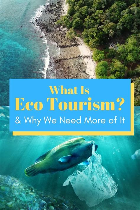 Explain Eco Tourism Detroit Federation Teacher Fw3v