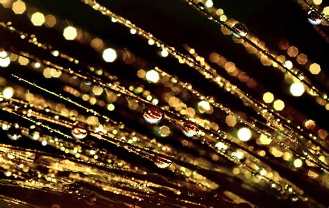 Drops Of Gold Sparkle Glitter Free Stock Photo Public Domain Pictures