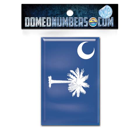 South Carolina Flag Domed Decal Choose Your Size