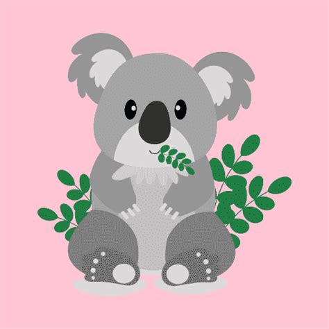 Koala Names What Is The Best Koala Name