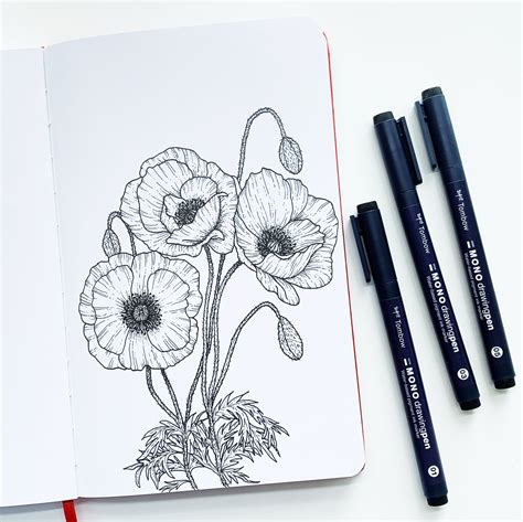 Poppy Flower Tutorial With MONO Drawing Pens - Tombow USA Blog
