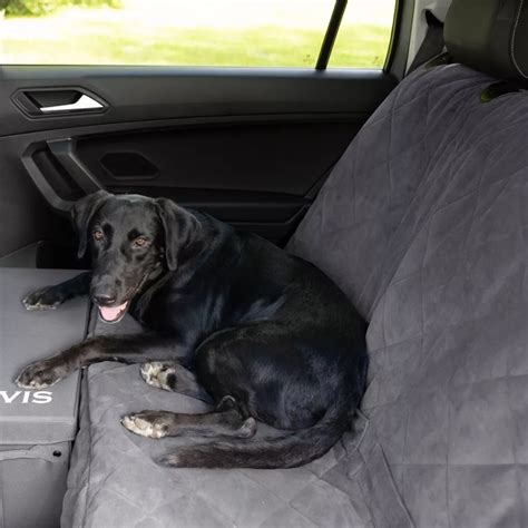 Dog Backseat Extender With Storage Orvis