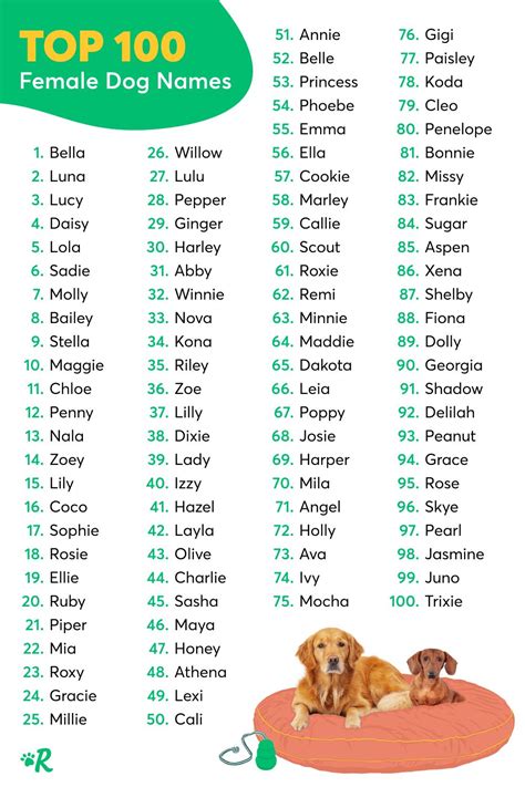 Most Popular Dog Names In The Usa Cute Names For Dogs Girl Dog Names