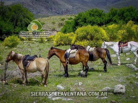 Cuenta con 2165 habitantes (indec, 2010), lo que representa un incremento del 42. Cabalgatas por las Sierras | Cabañas en Sierra de la ...