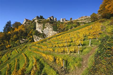 Vignobles, Jura | Chateau chalon, Jura tourisme, Vignoble français