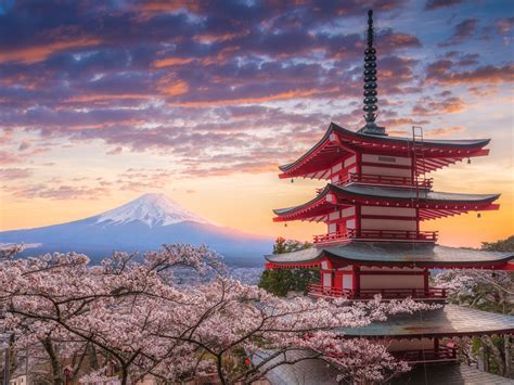 Japan In Cherry Blossom Season Celebrate Life Places To Visit
