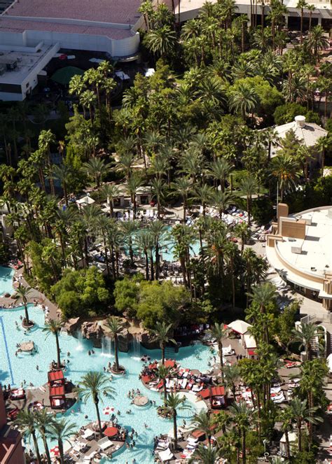 Hat/ist> sich im wasser aus eigener kraft (durch bestimmte bewegungen der flossen, der arme u. Tropischer Swimmingpool Von Oben Stockbild - Bild von ...